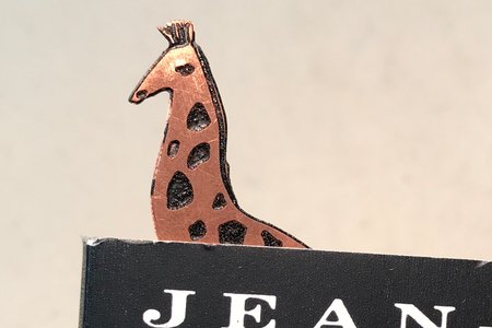 Book Series: Giraffe