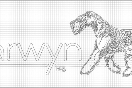 Darwyn Logo