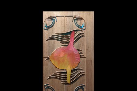 Sunfish Window